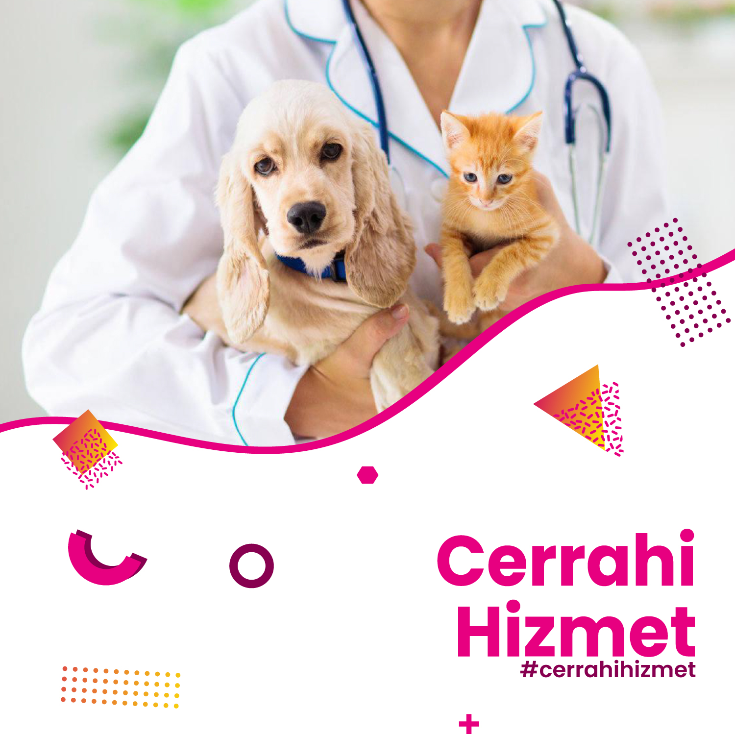 Cerrahi Hizmet Hizmeti