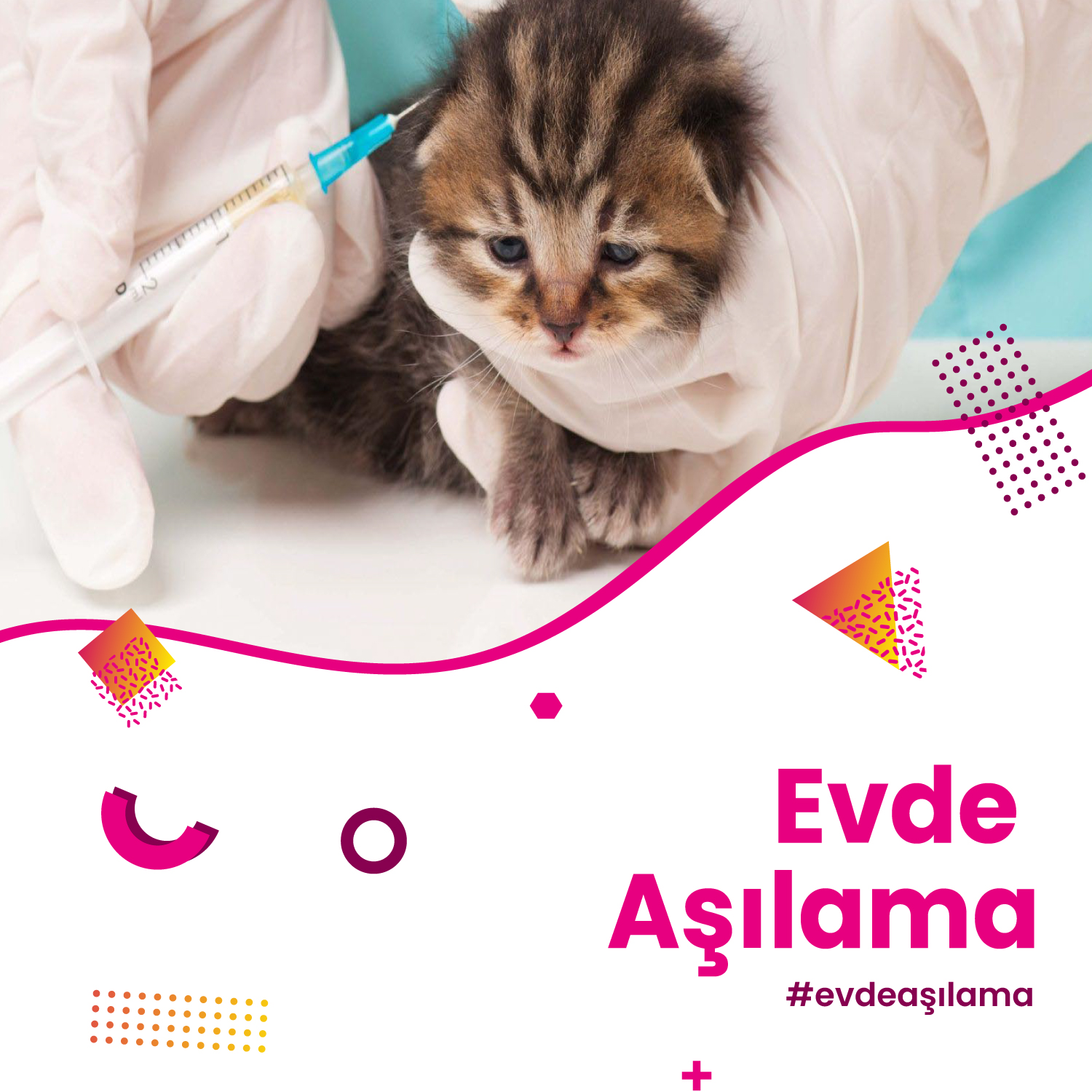 Evde Aşılama ve Tedavi Hizmeti