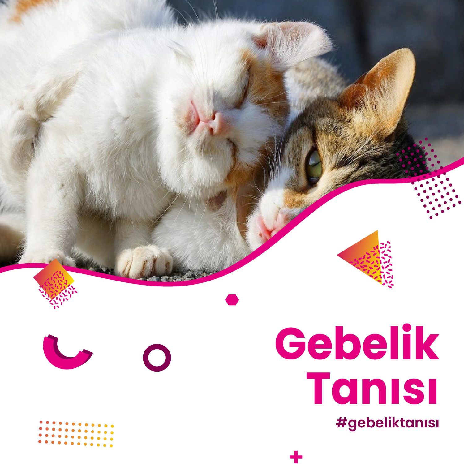 Gebelik Tanısı Hizmeti