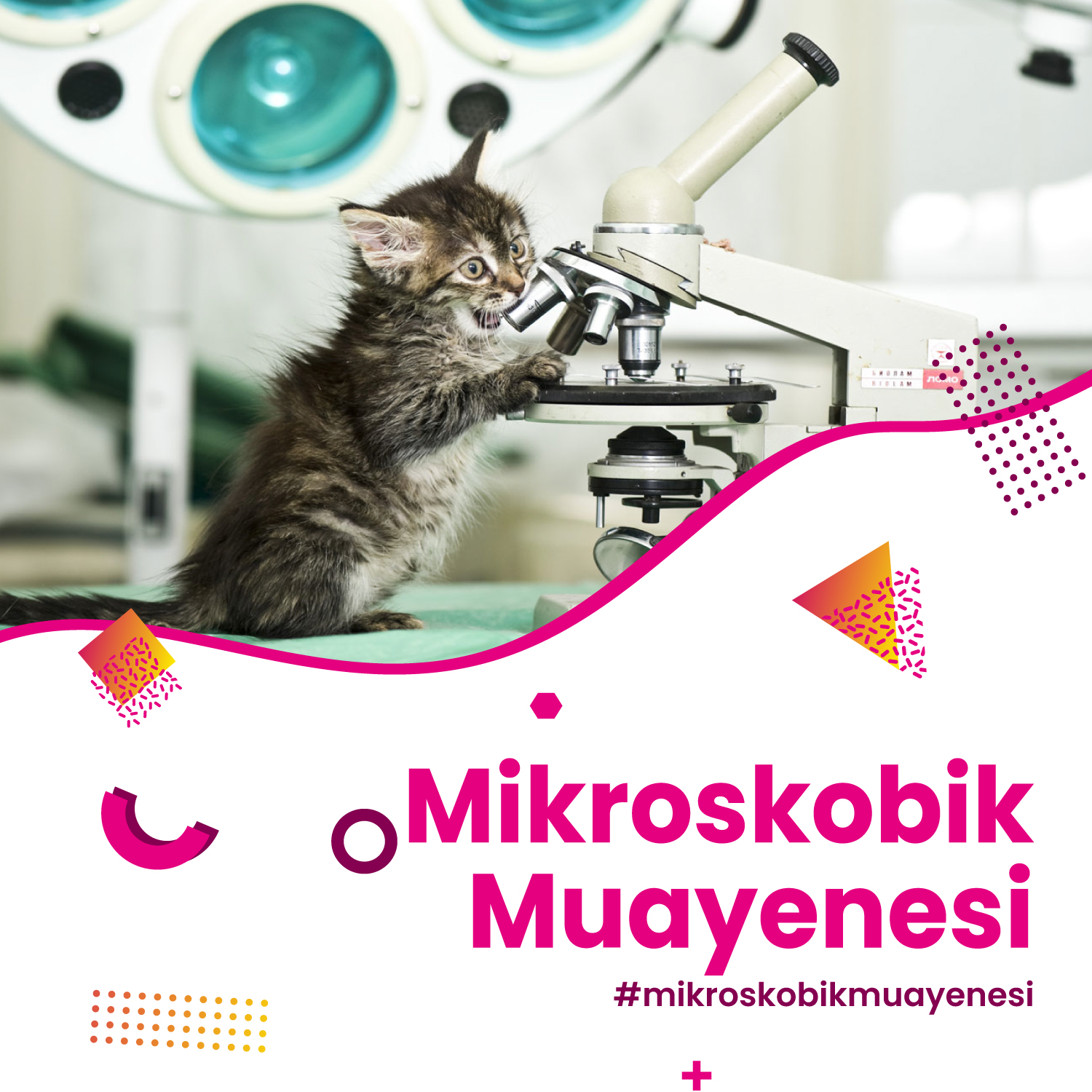 Mikroskobik Muayenesi Hizmeti