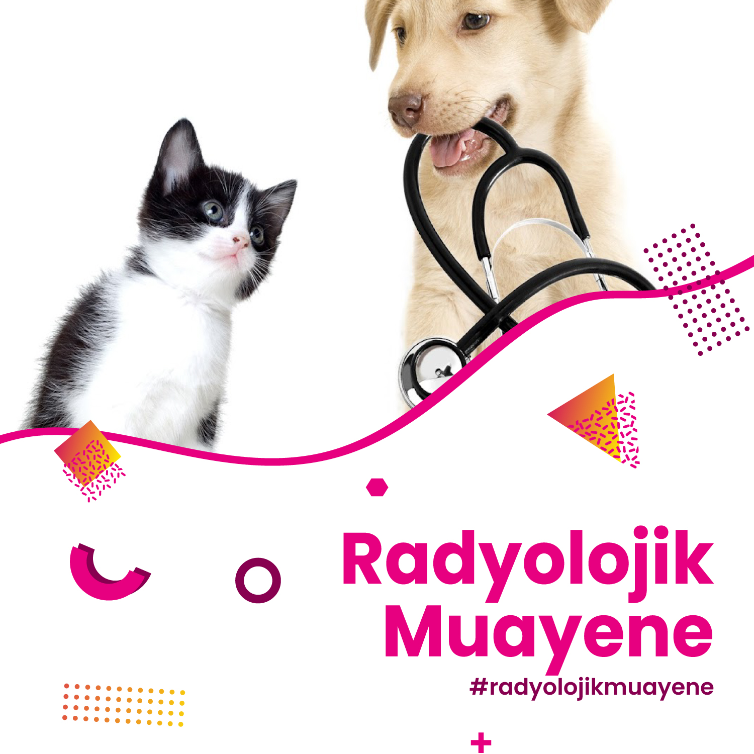 Radyolojik Muayene Hizmeti