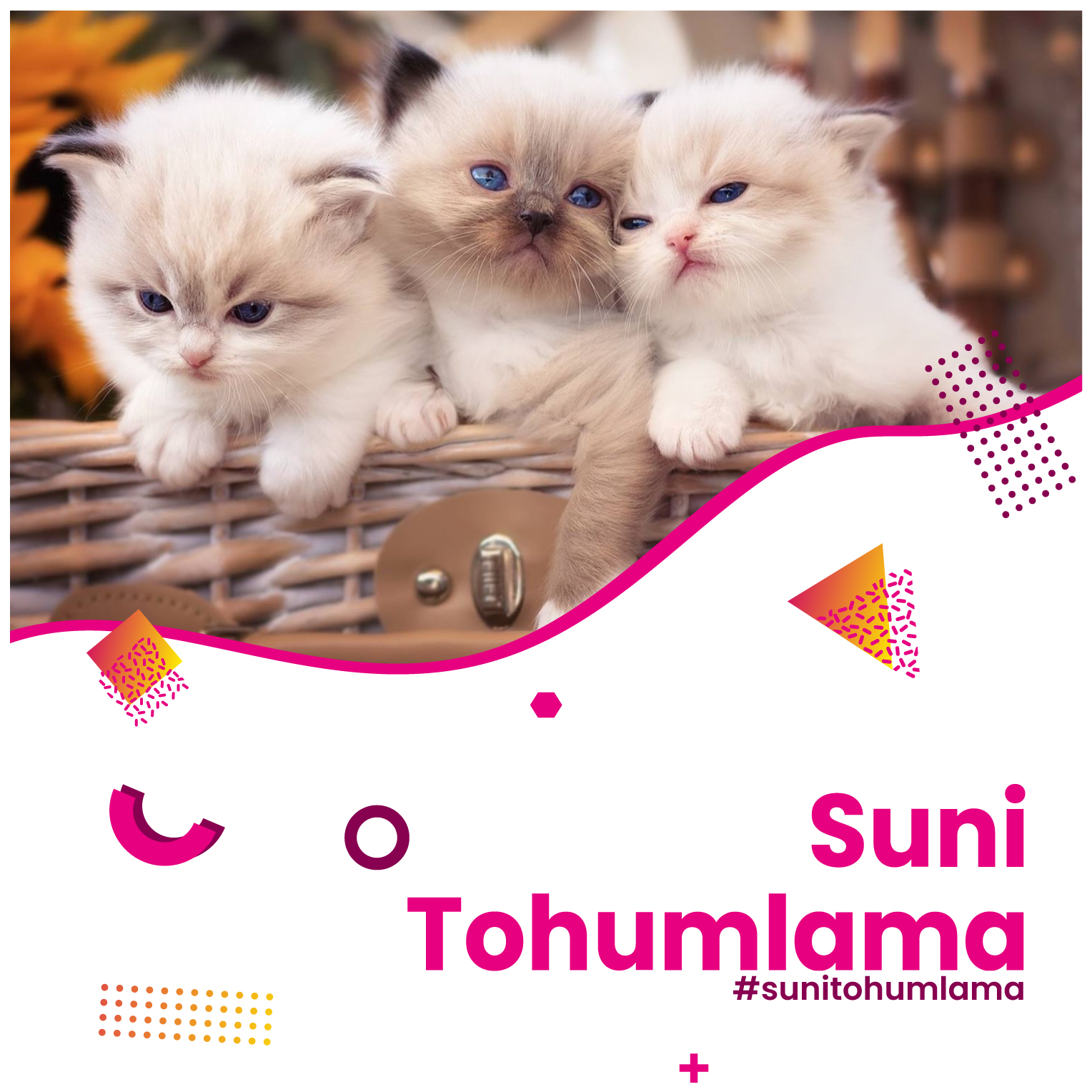 Suni Tohumlama Hizmeti