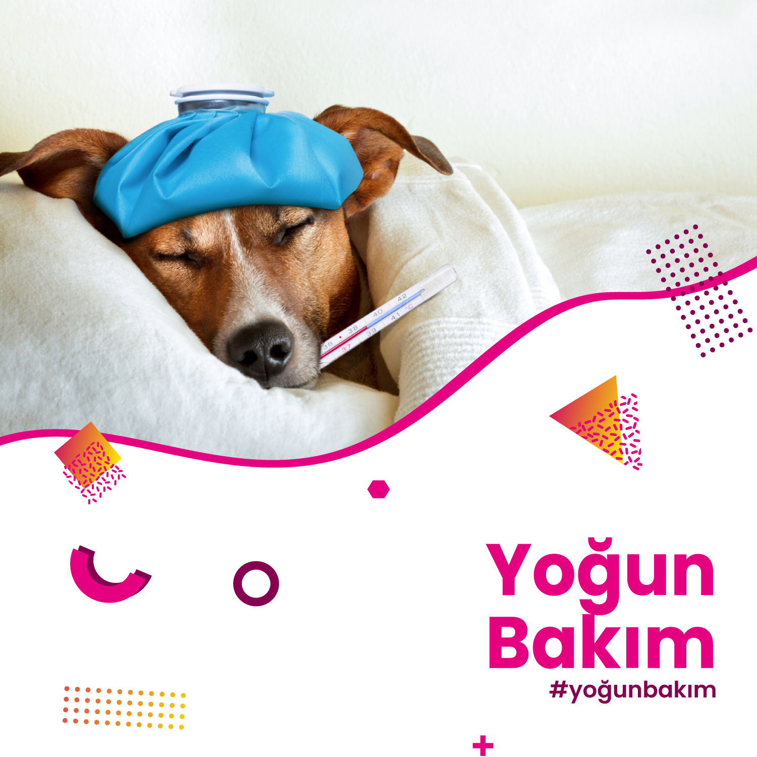 Yoğun Bakım Hizmeti